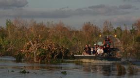 airboat