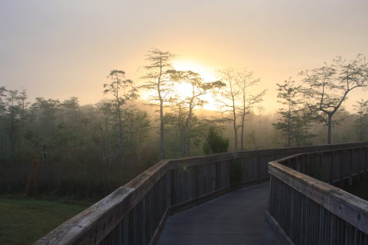 Big Cypress National Preserve boardwalk